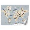 Fototapeta Pastelová mapa kontinentov