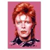 Obraz na plátne Portrét Davida Bowieho - Dmitry Belov