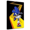 Obraz na plátne Sonic - Nikita Abakumov