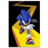 Obraz na plátne Sonic - Nikita Abakumov