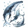 Detská nálepka na stenu Ocean - veľryba a delfíny