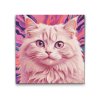Maľovanie podľa čísel Mačka v odtieňoch ružovej