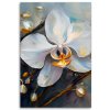 Obraz na plátne Orchidey biele kvety (Rozmery 80 x 120 cm)
