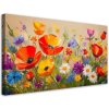 Obraz na plátne Vlčie maky farebné kvety na lúke (Rozmery 120 x 60 cm)