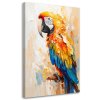 Obraz na plátne Farebný papagáj (Rozmery 60 x 90 cm)
