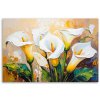 Obraz na plátne Biele kalie kvety ako maľované (Rozmery 90 x 60 cm)
