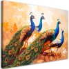 Obraz na plátne Farebné pávy Vtáky efekt farby (Rozmery 90 x 60 cm)