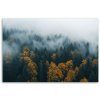 Obraz na plátne Les v hmlovej krajine (Rozmery 120 x 80 cm)