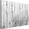 Obraz na plátne Brezová lesná krajinná príroda (Rozmery 120 x 80 cm)
