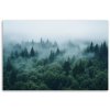 Obraz na plátne Zelený les v hmle prírodnej krajine (Rozmery 120 x 80 cm)