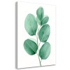 Obraz na plátne Listy Akvarel Zelená Minimalizmus (Rozmery 80 x 120 cm)