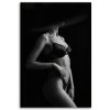 Obraz na plátne Žena v spodnej bielizni (Rozmery 40 x 60 cm)