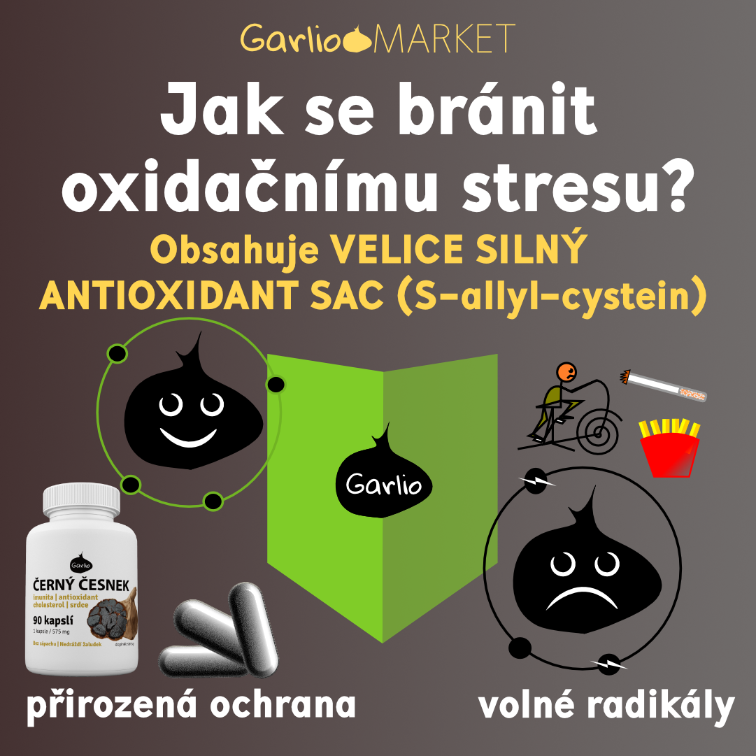 Černý česnek: silné antioxidační účinky (+studie)