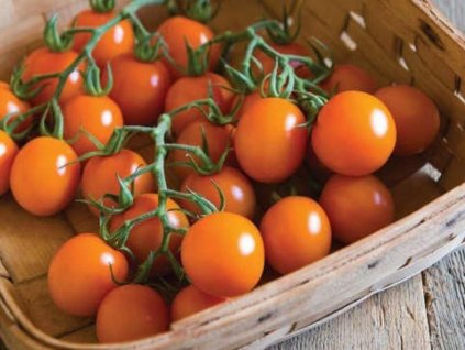 Cherry rajče 'Clementine' (Partner ID none)