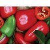 Paprika setá 'Rela' (Partner ID none)