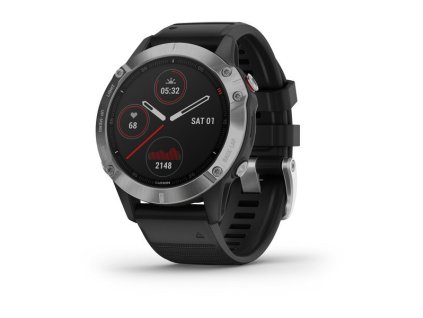 Fenix 6 Glass (47mm) Silver/Black