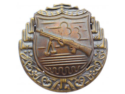 Odznak pro střelce z lehkého kulometu x1939 (2)