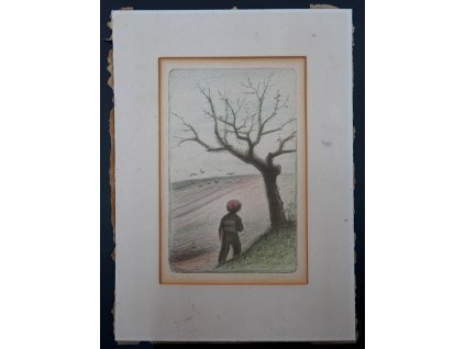 Kazdová Milada - chlapec u stromu - litografie