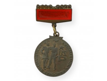 Odznak - vyznamenání ČLEN BRIGÁDY SOCIALISTICKÉ PRÁCE SOCIALISTICKY PRACOVAT SOCIALISTICKY ŽÍT (x15085)