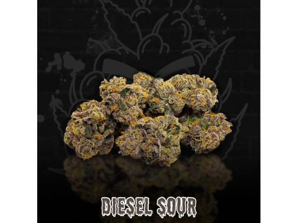 DIESEL SOUR