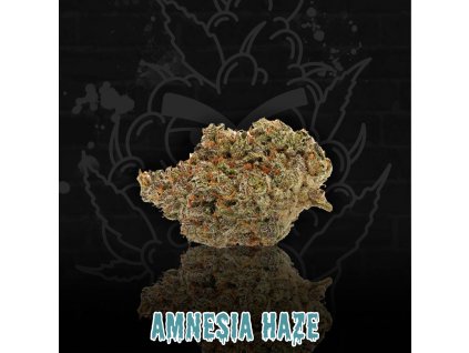 AMNESIA HAZE