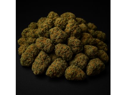 ChatGPT Image 2. 11. 2025 13 58 25