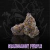 TH420 KVĚTY 30% - GRANDDADDY PURPLE