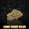 LEMON CHERRY GELATO