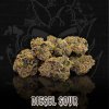 DIESEL SOUR