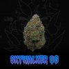 SKYWALKER OG PRODUCT PIC