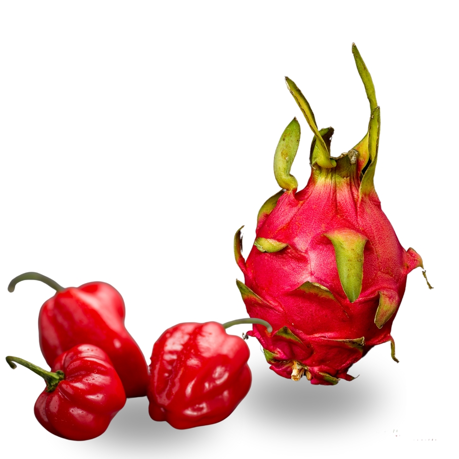 chilli omáčka Gaston