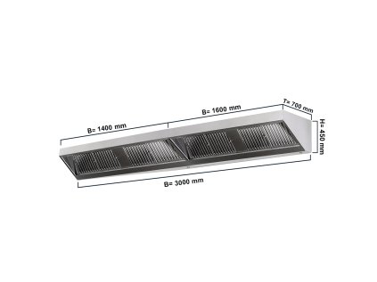 WLP307 SET masse