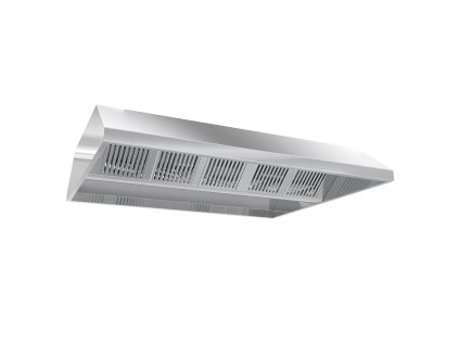 DLS2418