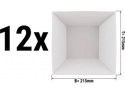 DSSMRK21 12 0