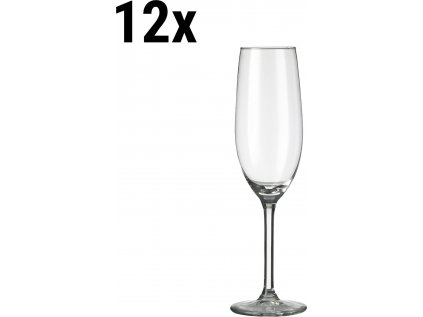 SGEPW21 12