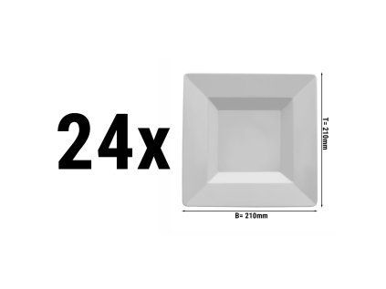 TTMRK21 24
