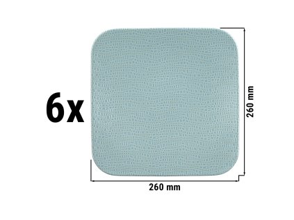CTFECFSW26T 003