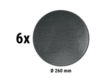 CTFCFSW26A 003