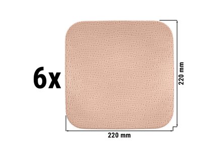CTFECFSW22AR 003