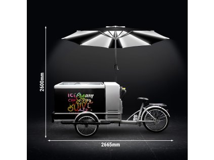 Vozík na zmrzlinu/zmrzlinárske koleso - 2,67 x 0,95 m