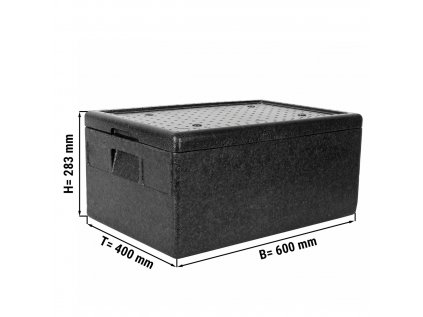 Thermobox / Polybox - pro GN 1/1 - 600 x 400 x 283 mm