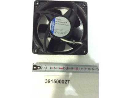 JPG 391500027