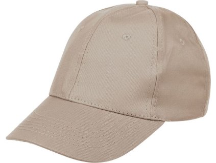 BCASK 1 b228