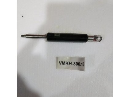 JPG VMKH 300 13
