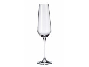 Sada 6 kusů sklenic na šampaňské ARDEA 220ml Crystalite Bohemia