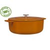 60f16ed66c5ad046378915a0 190228OR Nieuw Oranje 2 logo