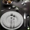 pintinox ritz table fork ritz dozen e93