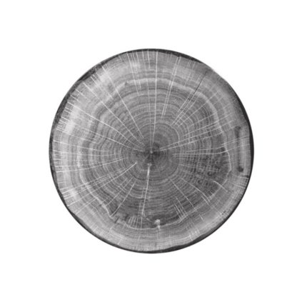 RAK Woodart talíř mělký coupe 24 cm – šedá | RAK Porcelain, WDNNPR24BG-12