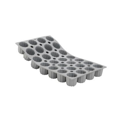 24006 vyr 12243 d 1856 01d