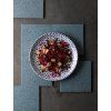 terrazzo blue plate with pomegrante ceviche(1)